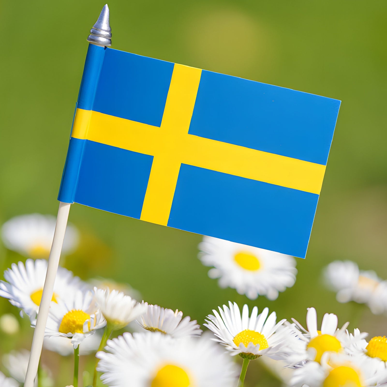 Our Sweden Team Keeps Growing